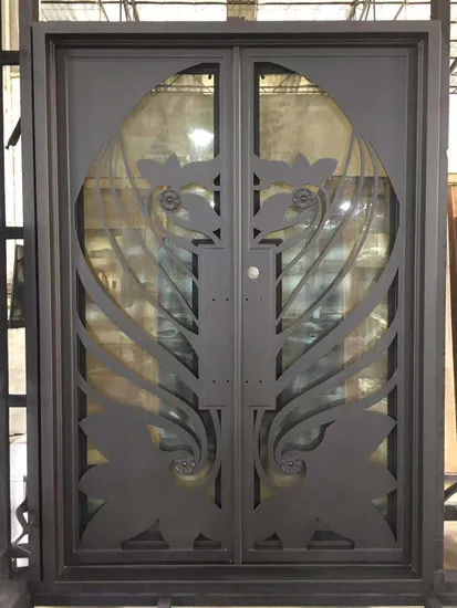 Puerta de entrada de hierro forjado de estilo francés, sencilla y atractiva, hecha de metal y personalizada, con luz lateral.