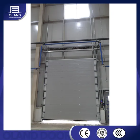 Puerta seccional industrial de aluminio y acero, corrediza y elevable, con perspectiva francesa, personalizada.